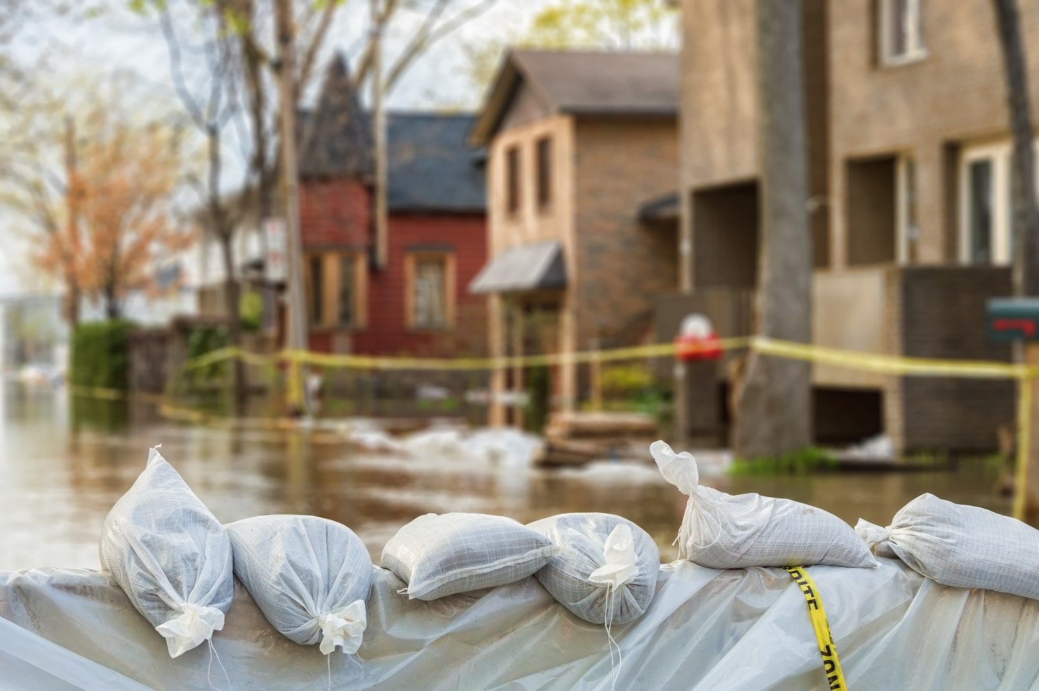 water damage restoration raleigh NC