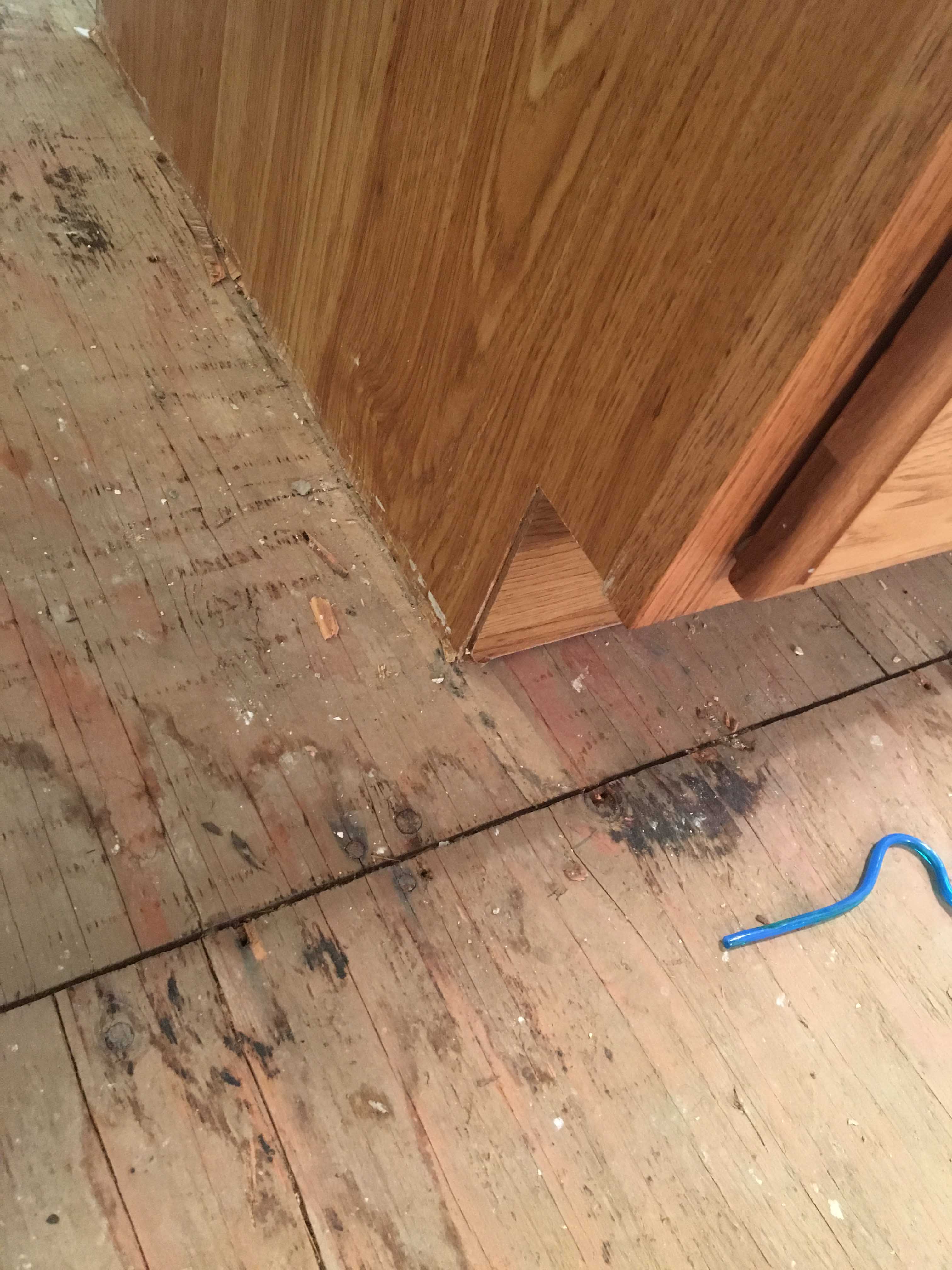 kitchen wood floor water damage cleanup