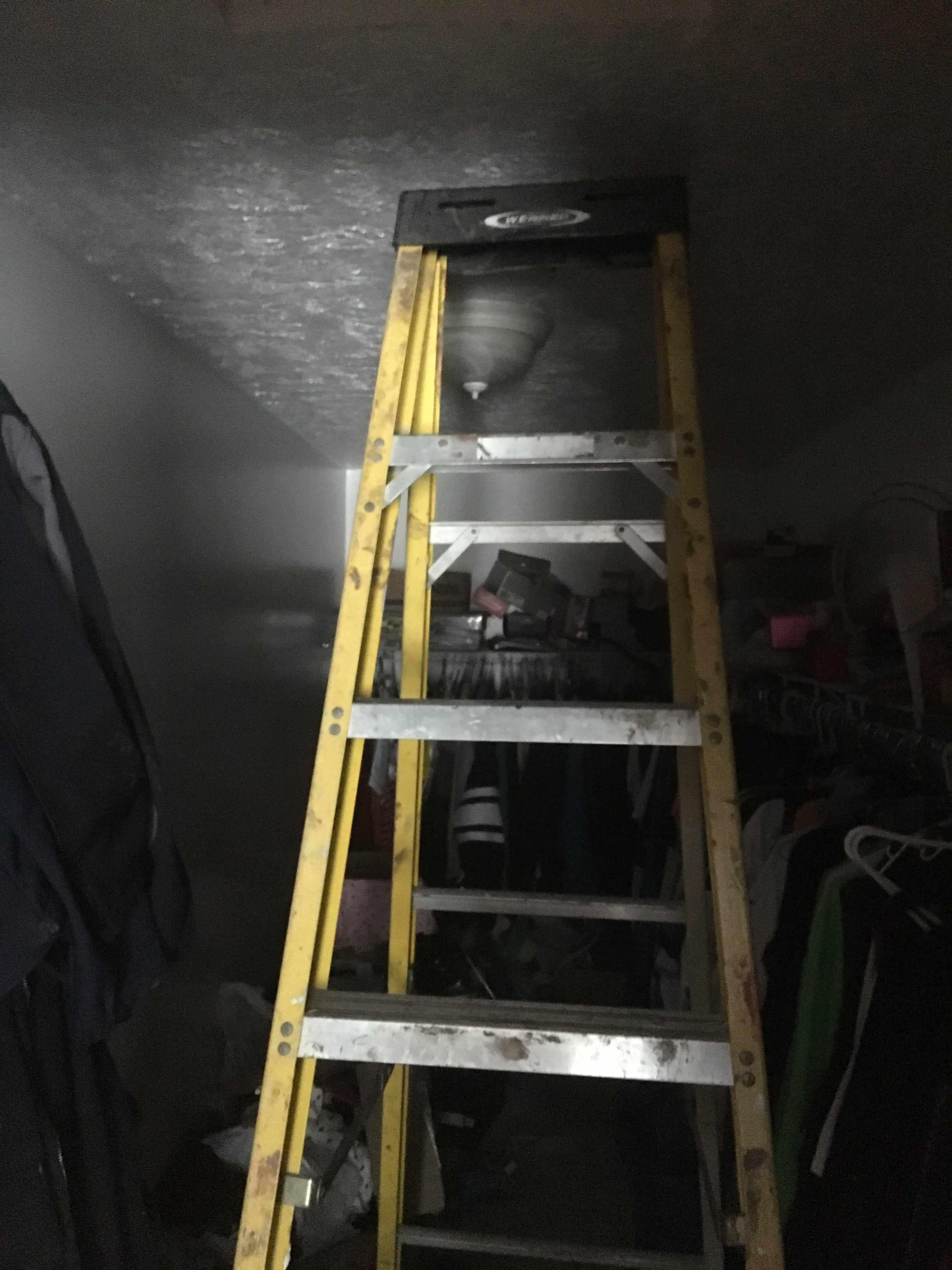 basement professional restoration services in MI United States