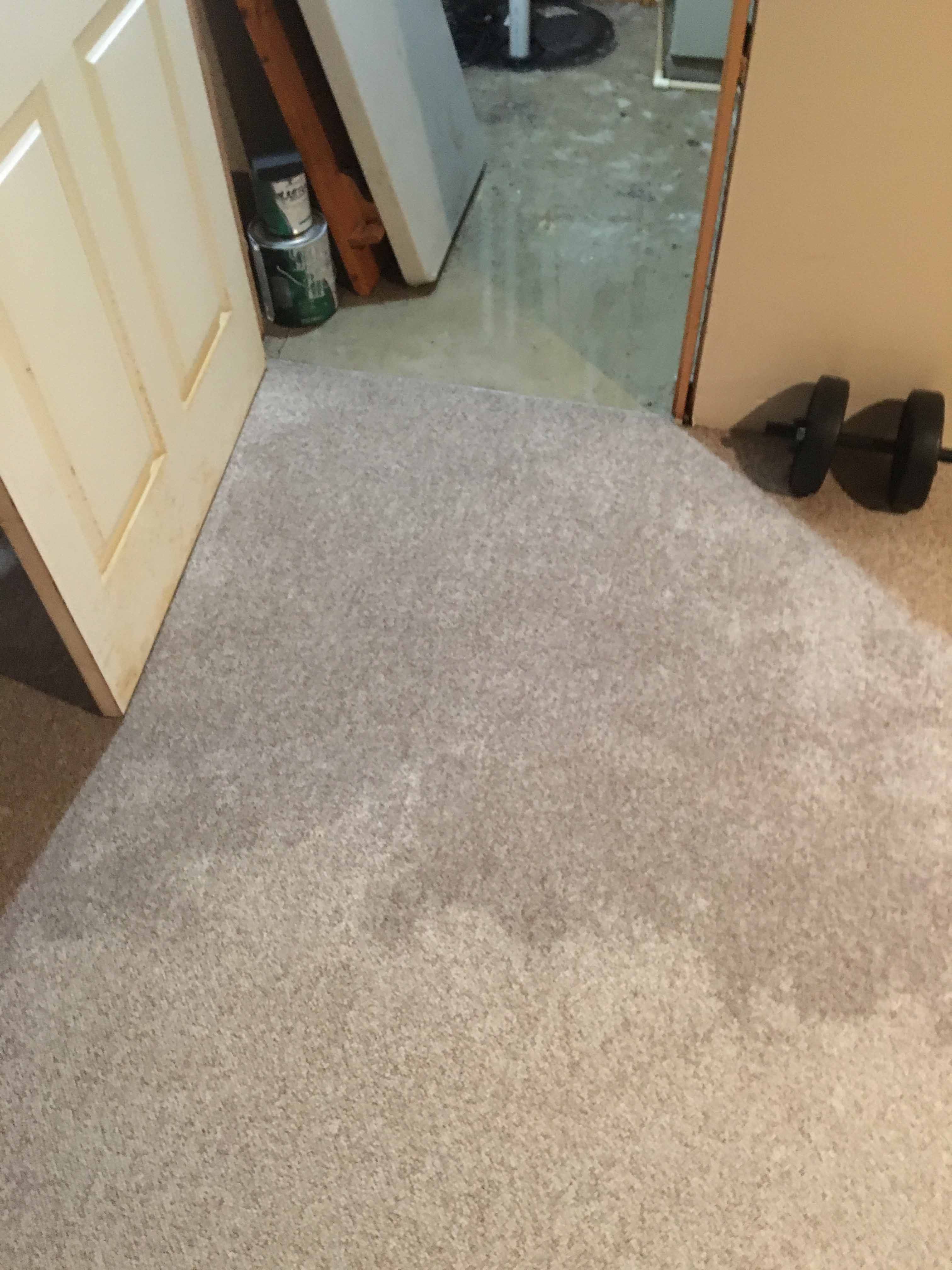 carpet cleaning in Grosse Point Michigan United States
