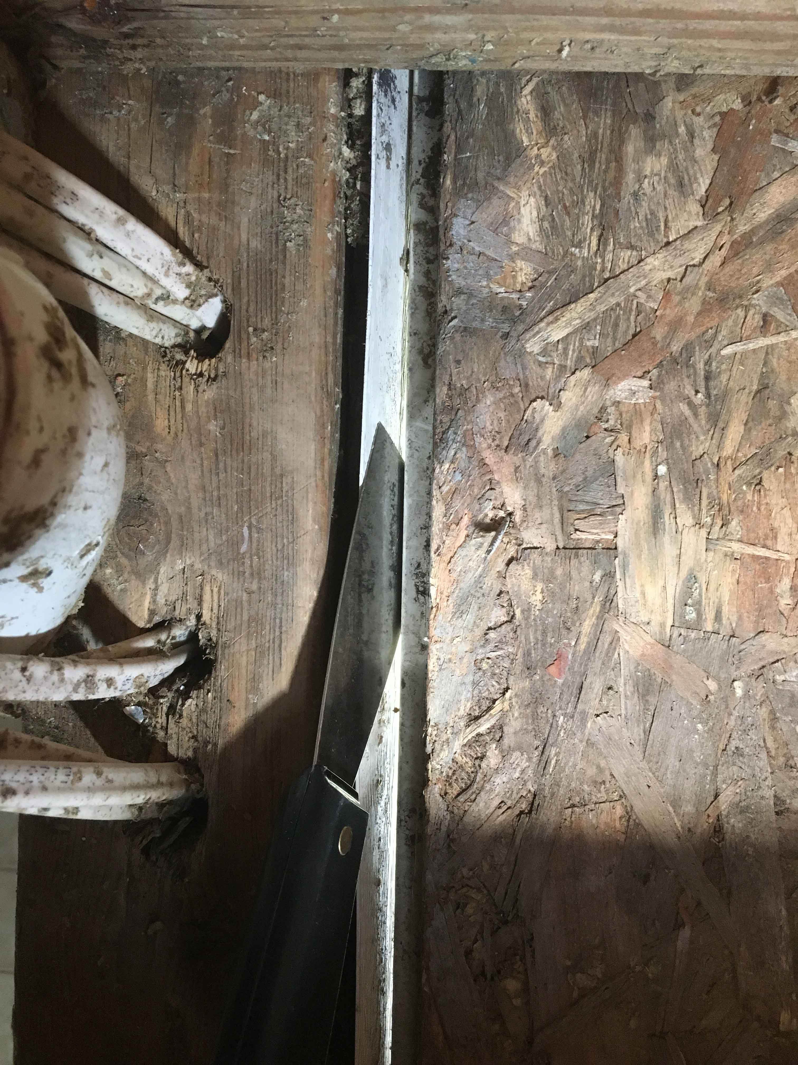 mold in attic in Dundee Michigan USA