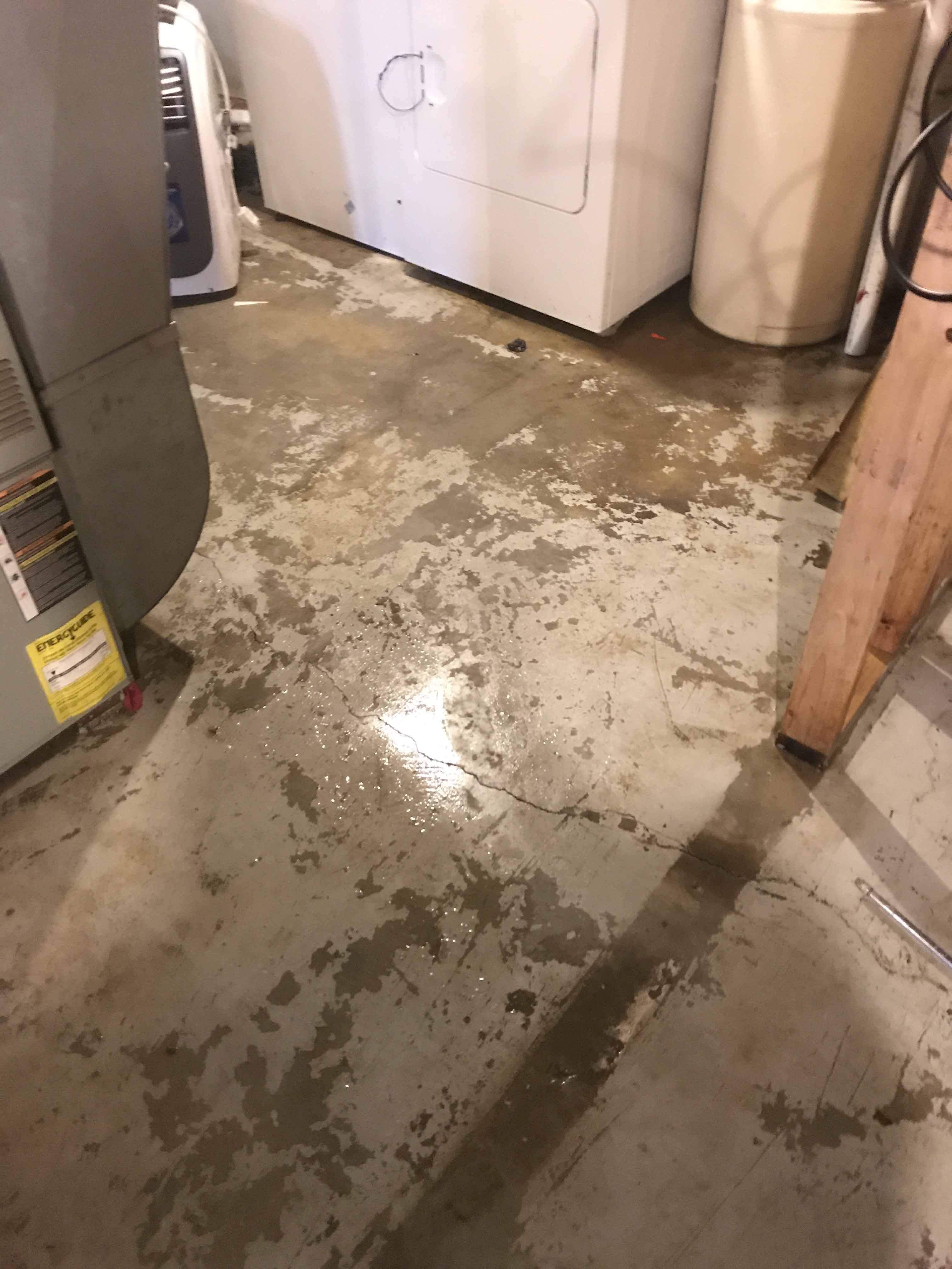 sewage damage cleanup in Grosse Point Michigan USA