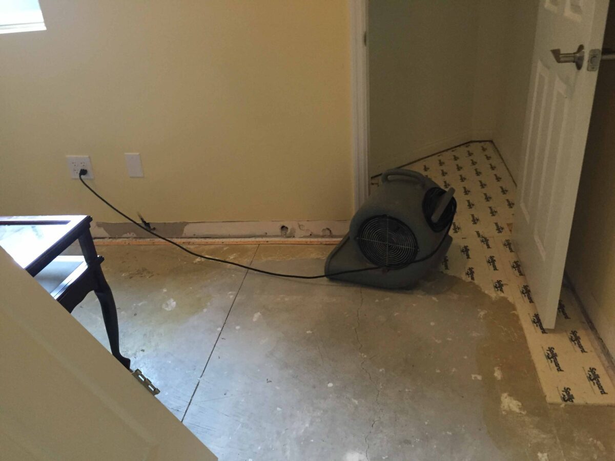 water damage mold remediation services michigan Exact Recon