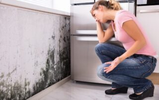 Mold FAQ What You Need to Know About Mold in Your Home in Ann Arbor