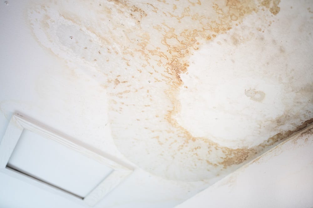 How to Spot the Signs of Water Damage