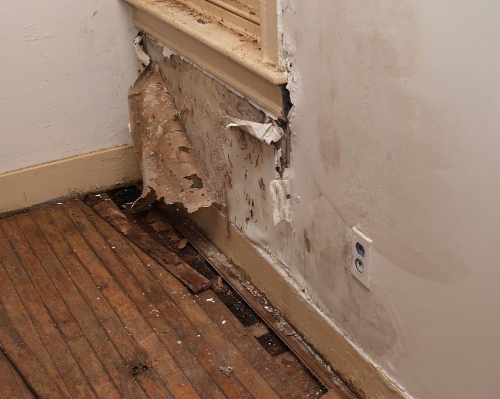 The Most Common Places for Water Damage in Your Michigan Home