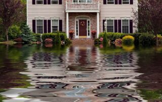 What to Do When You Need a Water Damage Cleanup Expert