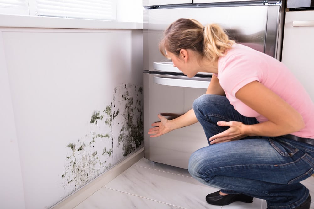 What Should You Do if There's Mold in Your Home