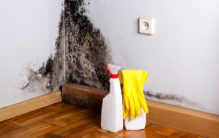 Going on Vacation Turn on Your AC to Avoid Mold - ExactRecon