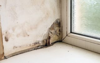 4 Ways to Dry Your Damp Basement