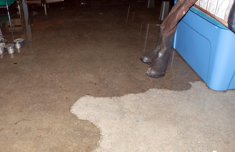 How to Prevent a Wet Basement This Spring