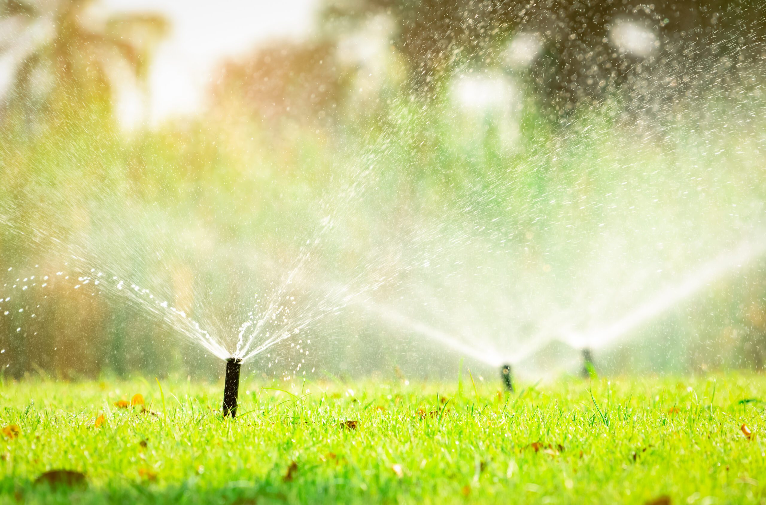 4 Ways to Improve Water Drainage in Your Yard