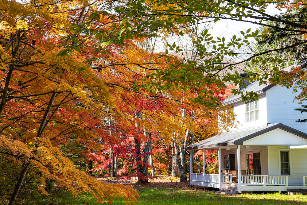 What Happens if You Don’t Clean Your Gutters?