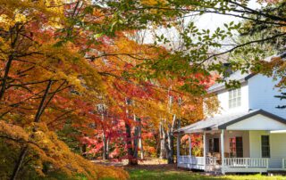 Can You Prevent Mold Growth in Your Home This Fall and Winter?