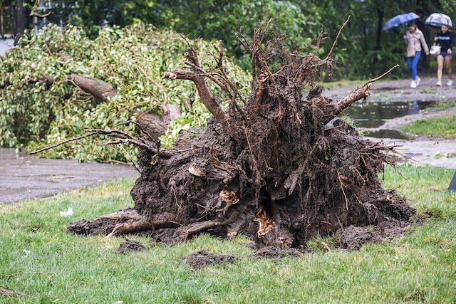 Do You Know What to Do AFTER a Tornado Strikes?