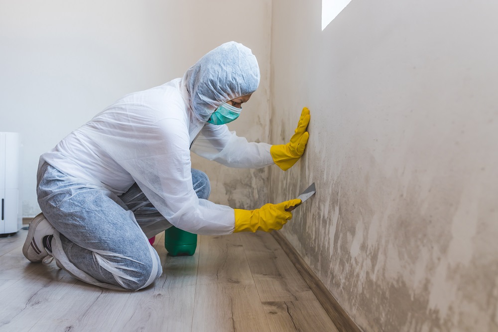 Is it Hard to Remove Mold From a House?