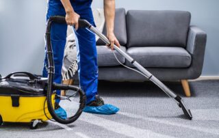 Can You Prevent Mold in a Wet Carpet?