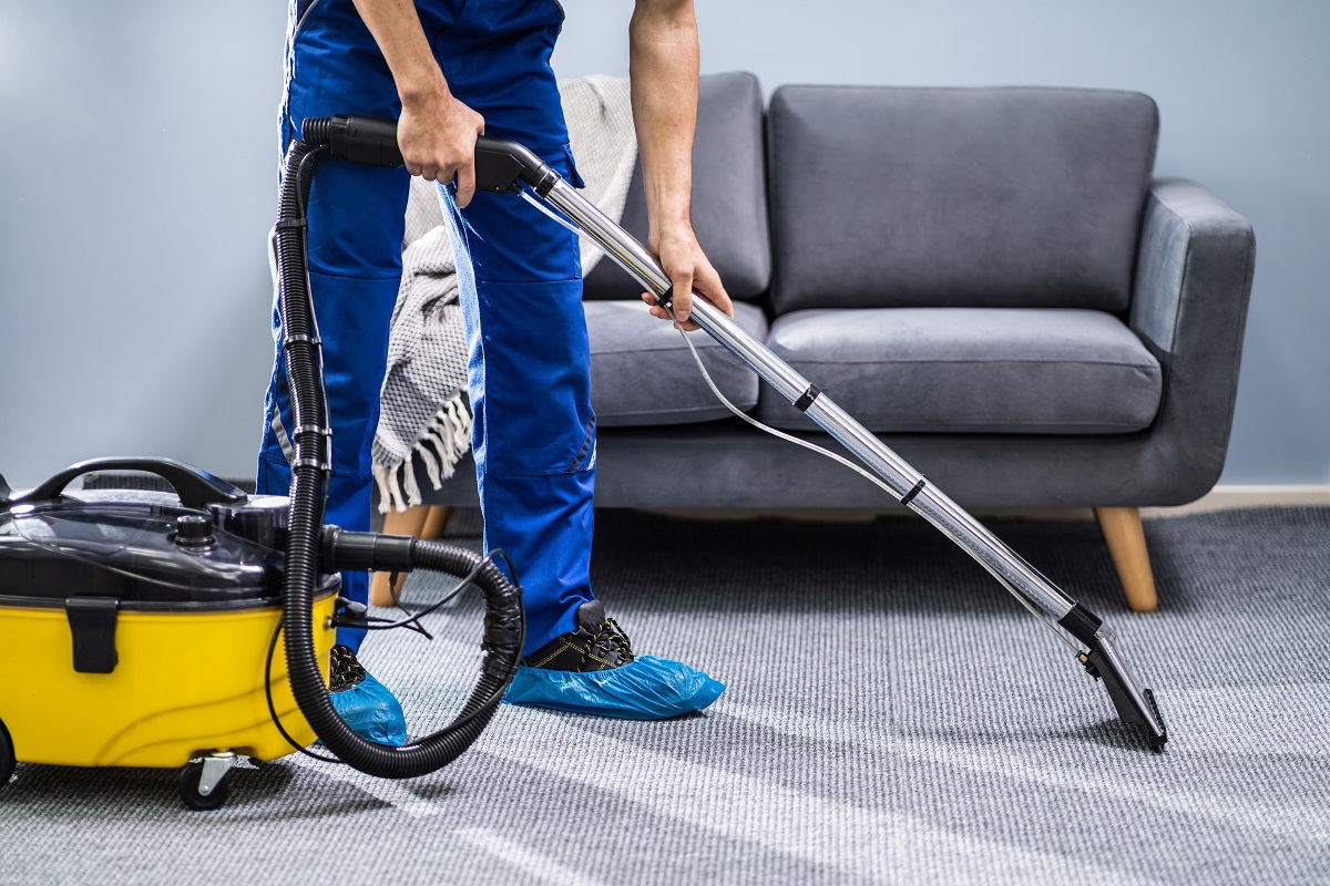 Can You Prevent Mold in a Wet Carpet?