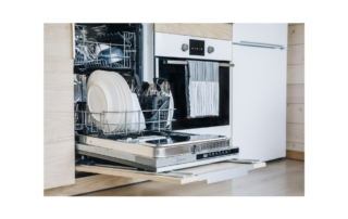 What Types of Mold Might Lurk Inside of Your Dishwasher?