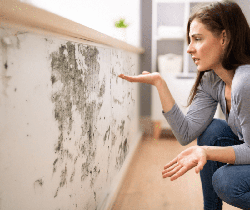 Signs of Mold Inside of Your Home, and Where to Check for It Exact