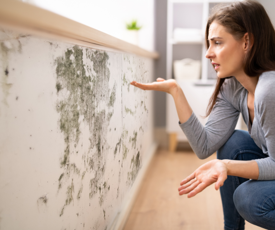 Signs of Mold Inside of Your Home, and Where to Check for It