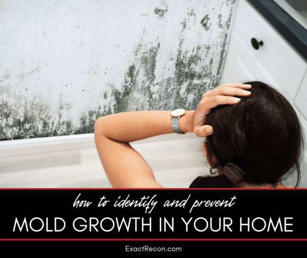 How To Identify And Prevent Mold Growth In Your Home Exact Recon Restoration