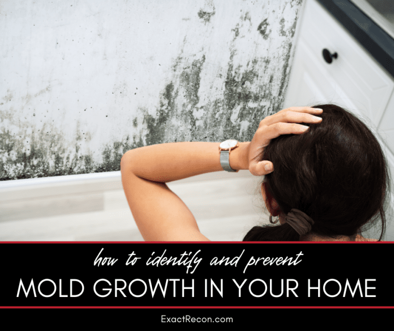 How To Identify And Prevent Mold Growth In Your Home Exact Recon