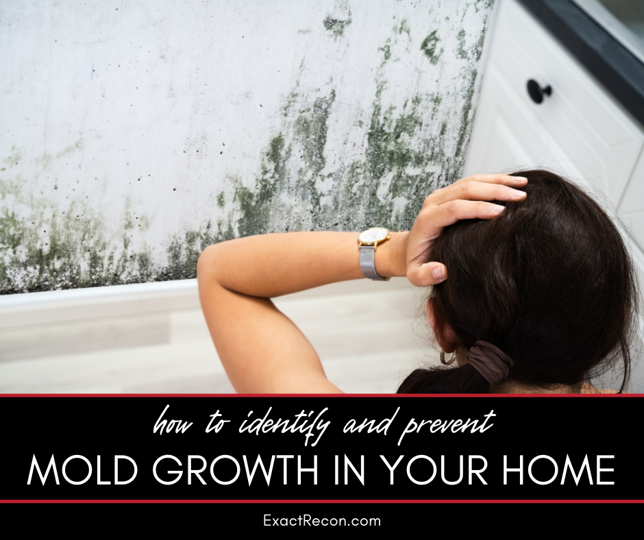 How to Identify and Prevent Mold Growth in Your Home - Ann Arbor Emergency Mold Remediation