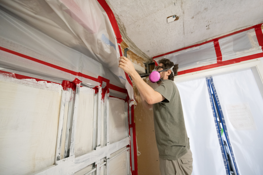 What to Expect From Mold Remediation