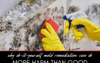 Why DIY Mold Remediation Can Do More Harm Than Good