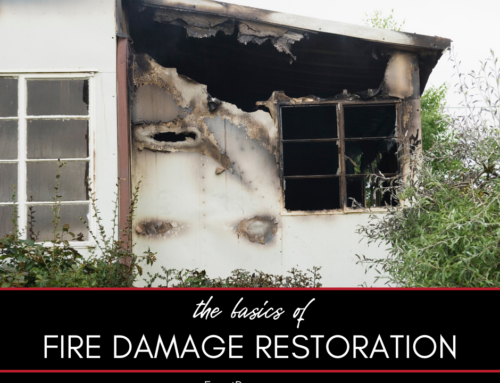 Fire Damage Restoration: The Basics