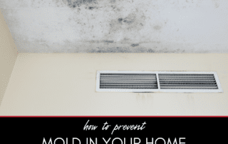 How to Prevent Mold in Your Home