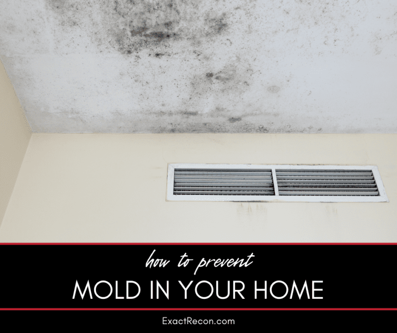 How to Prevent Mold in Your Home Exact Recon Restoration