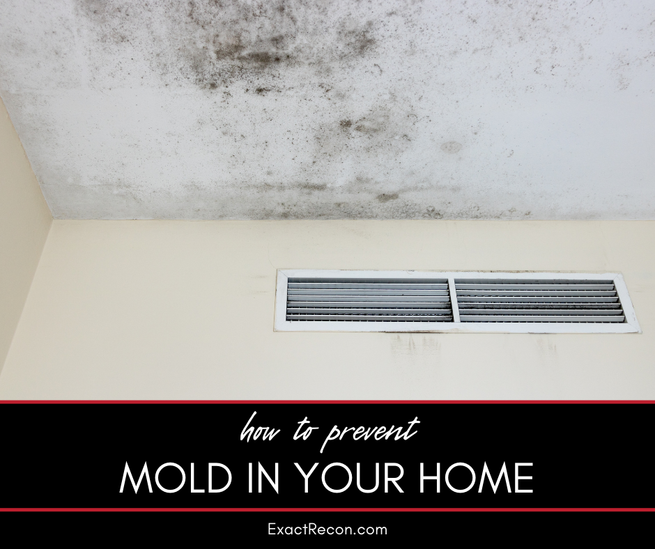 How to Prevent Mold in Your Home