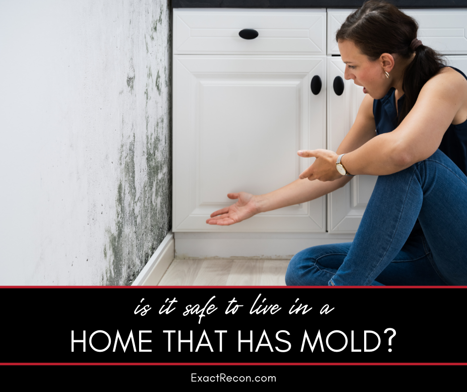 Is it Safe to Live in a Home With Mold?