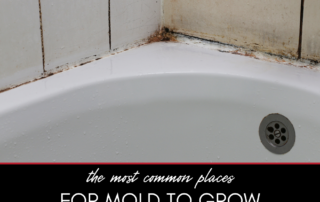 The Most Common Places for Mold to Grow