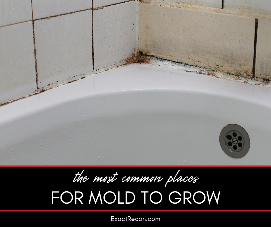 The Most Common Places for Mold to Grow