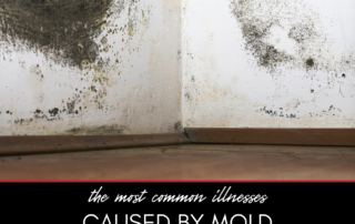 The Most Common Illnesses Caused by Mold