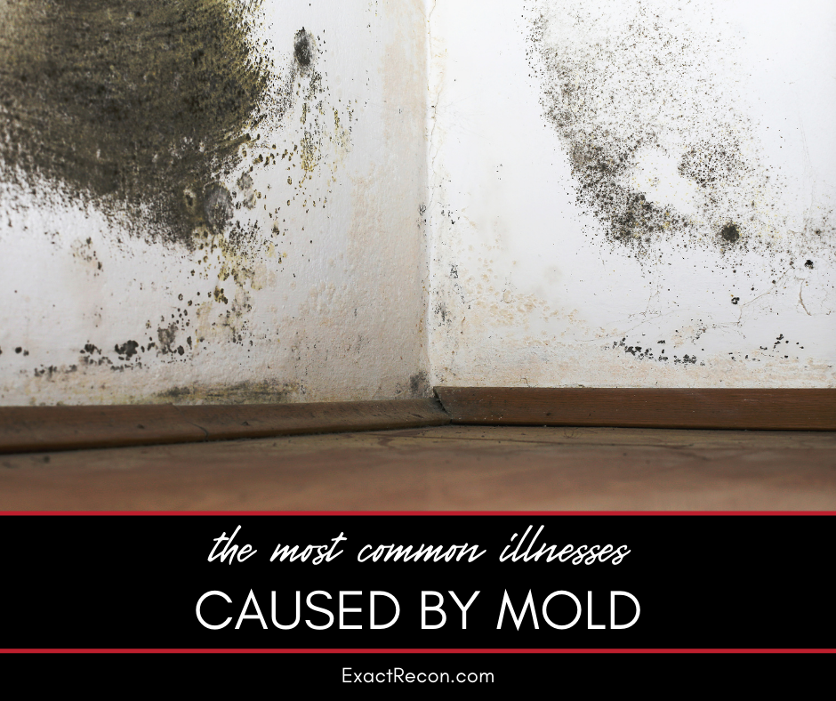 The Most Common Illnesses Caused by Mold