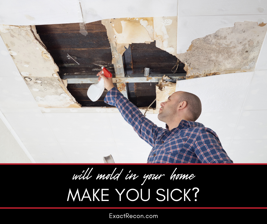 Will Mold in Your Home Make You Sick?