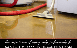 The Importance of Professional Water and Mold Remediation Services