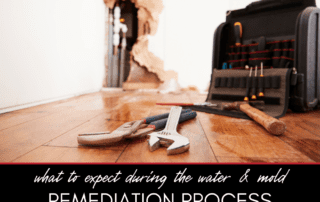 What to Expect During a Water and Mold Remediation Service
