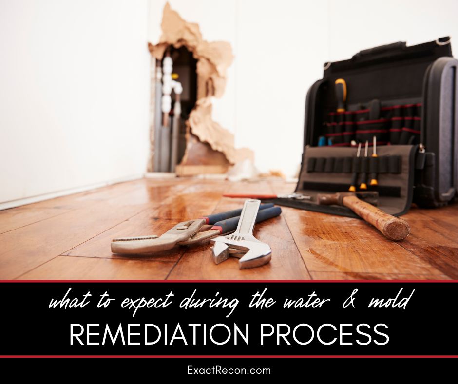 What to Expect During a Water and Mold Remediation Service