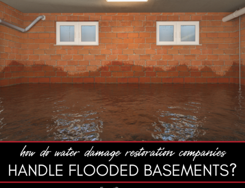 How Do Water Damage Restoration Companies Handle Flooded Basements?