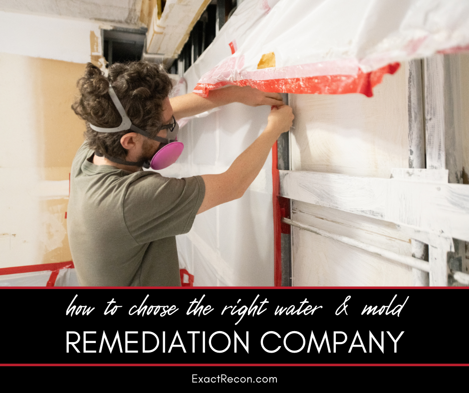 How to Choose the Right Water and Mold Remediation Company for Your Needs