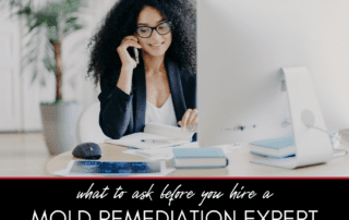 Key Questions to Ask Your Mold Remediation Contractor Before Hiring