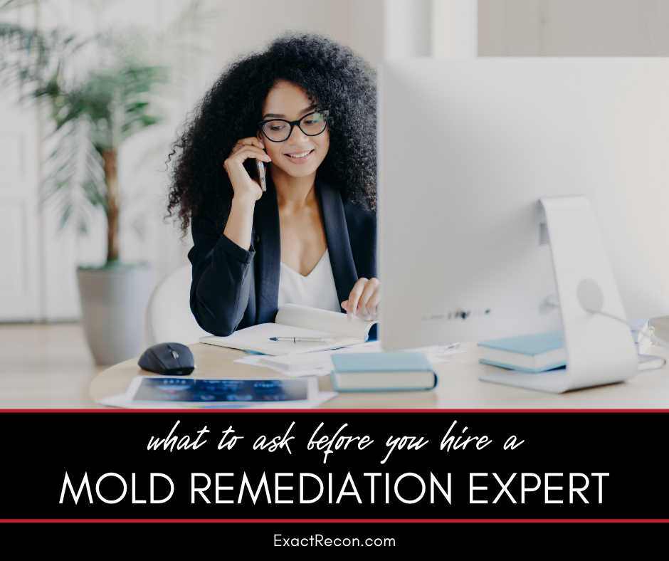 Key Questions to Ask Your Mold Remediation Contractor Before Hiring