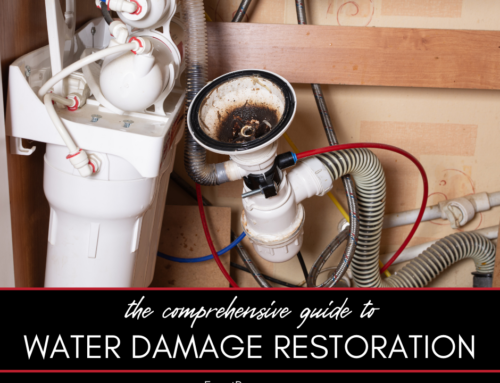 The Comprehensive Guide to Water Damage Restoration
