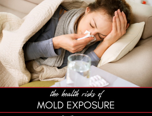 The Health Risks of Mold Exposure
