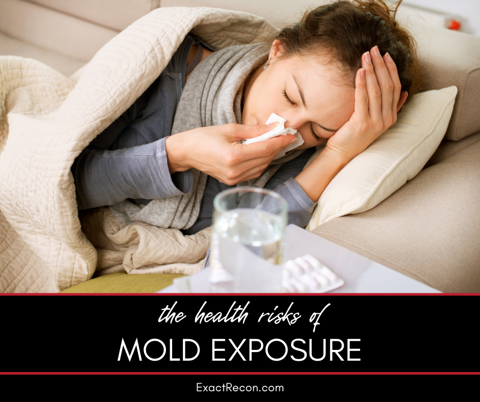 The Health Risks of Mold Exposure